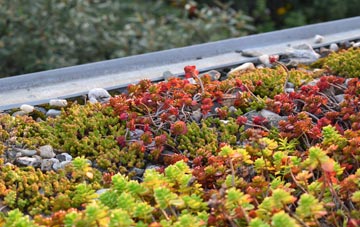the cost of Hollandstoun green roof installation