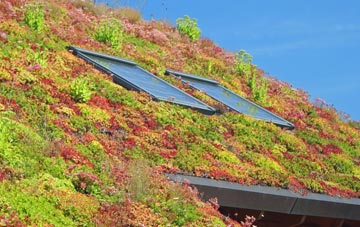 Hollandstoun living roof systems