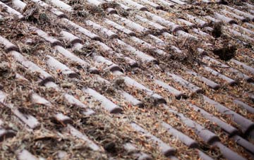 Hollandstoun roof cleaning companies