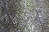 Hollandstoun fibreglass roof work